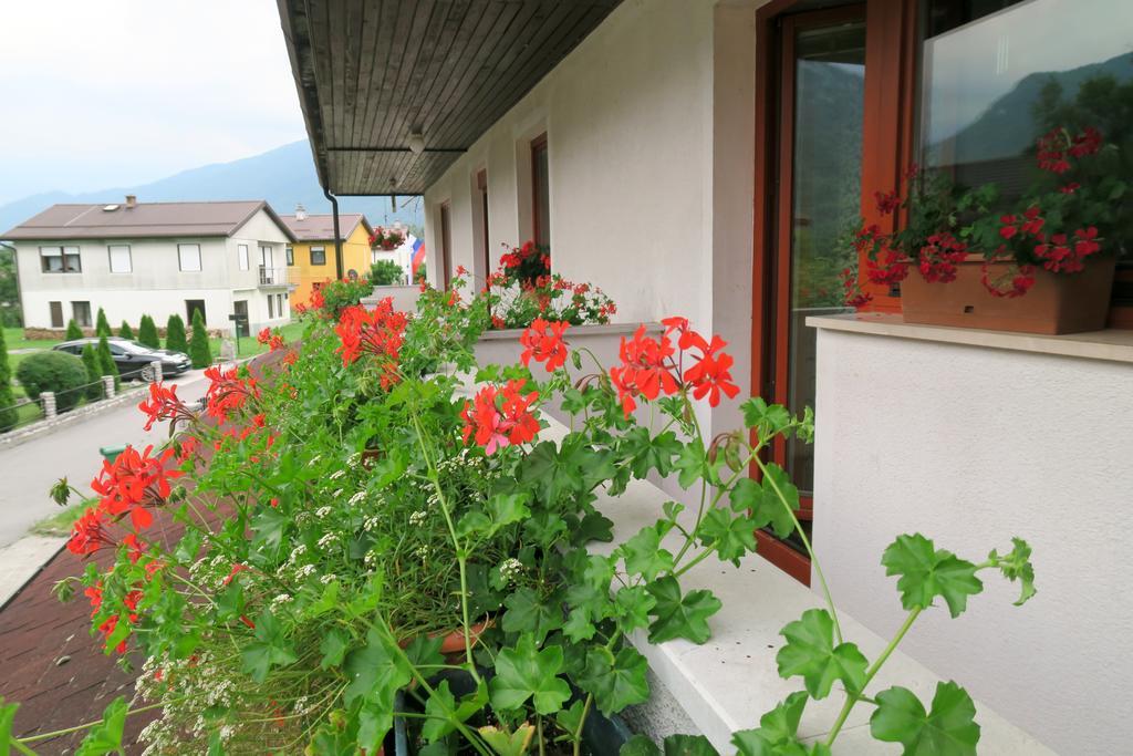 Budget Homestay Kobarid Buitenkant foto